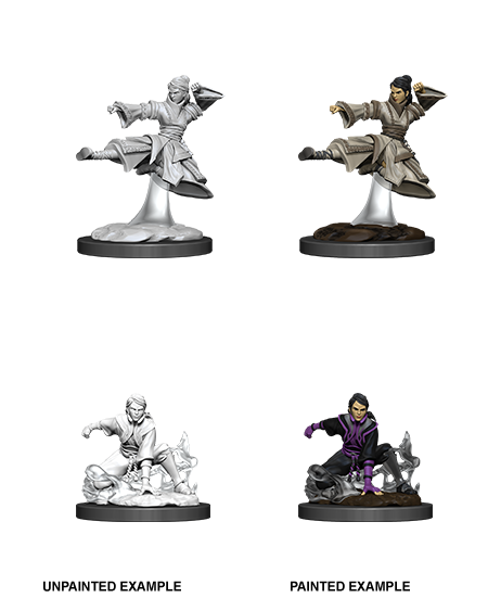 Female Human Monk: Nolzur's Marvelous Unpainted Miniatures