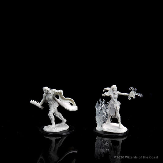 Multiclass Warlock  Sorcerer Female Human: Nolzur's Marvelous Unpainted Miniatures