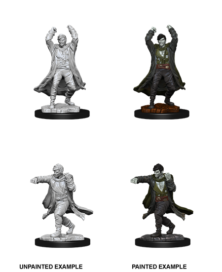 Revenant: Nolzur's Marvelous Unpainted Miniatures