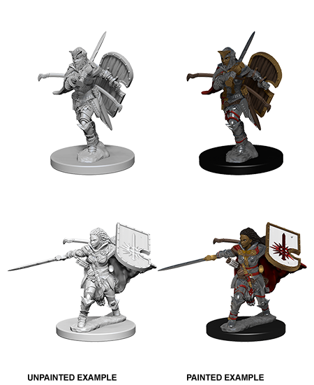 Human Female Paladin: Deep Cuts Unpainted Miniatures