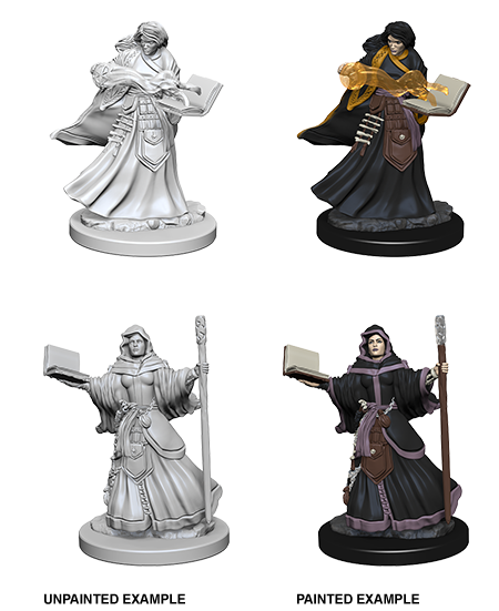 Human Female Wizard: Nolzur's Marvelous Unpainted Miniatures