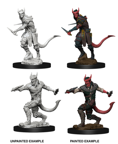 Tiefling Rogue: Nolzur's Marvelous Unpainted Miniatures