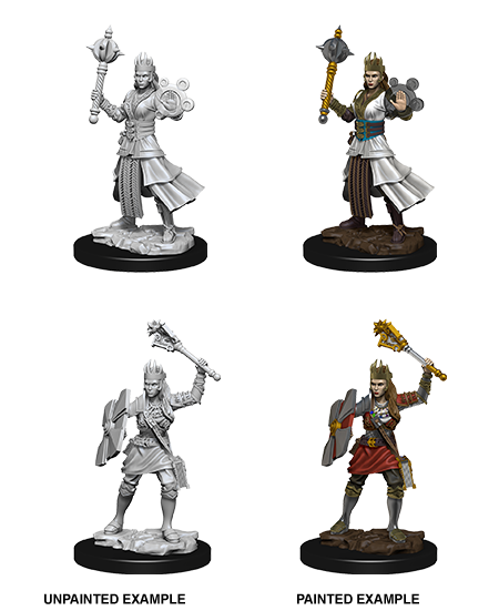 Female Human Cleric: Nolzur's Marvelous Unpainted Miniatures