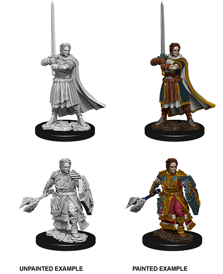 Male Human Cleric: Nolzur's Marvelous Unpainted Miniatures