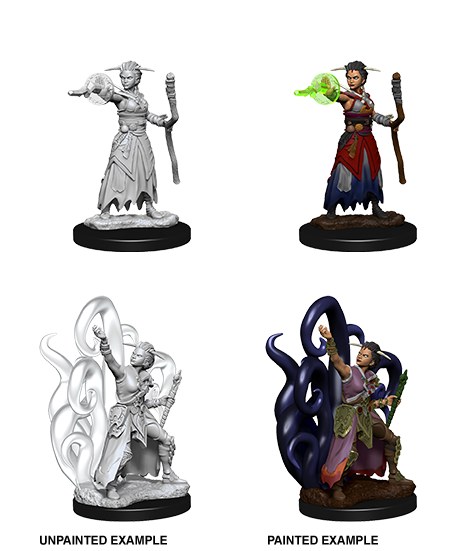 Female Human Warlock: Nolzur's Marvelous Unpainted Miniatures