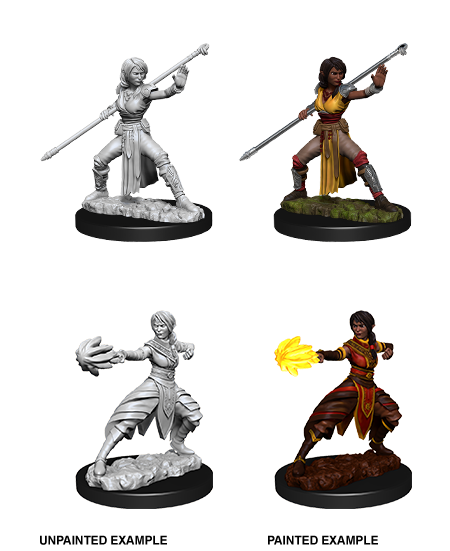 Female Half-Elf Monk: Nolzur's Marvelous Unpainted Miniatures